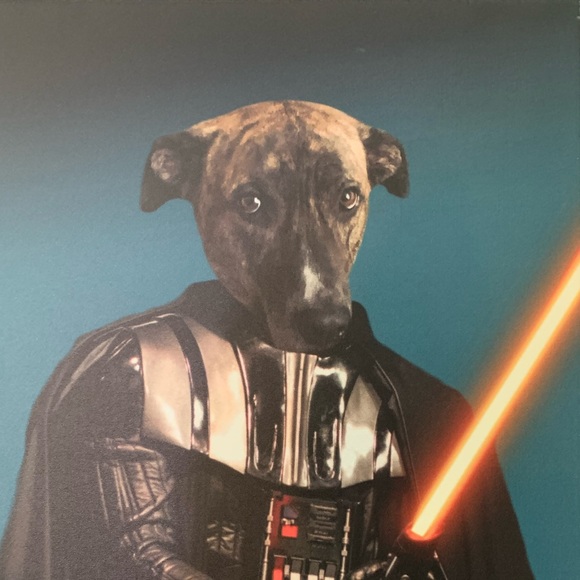 Meet your Posher, Jess - Picture 7 of 9